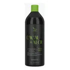 Zap Black Progressive Hair Treatment with Cocoa and Aloe Vera