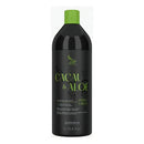Zap Black Progressive Hair Treatment with Cocoa and Aloe Vera